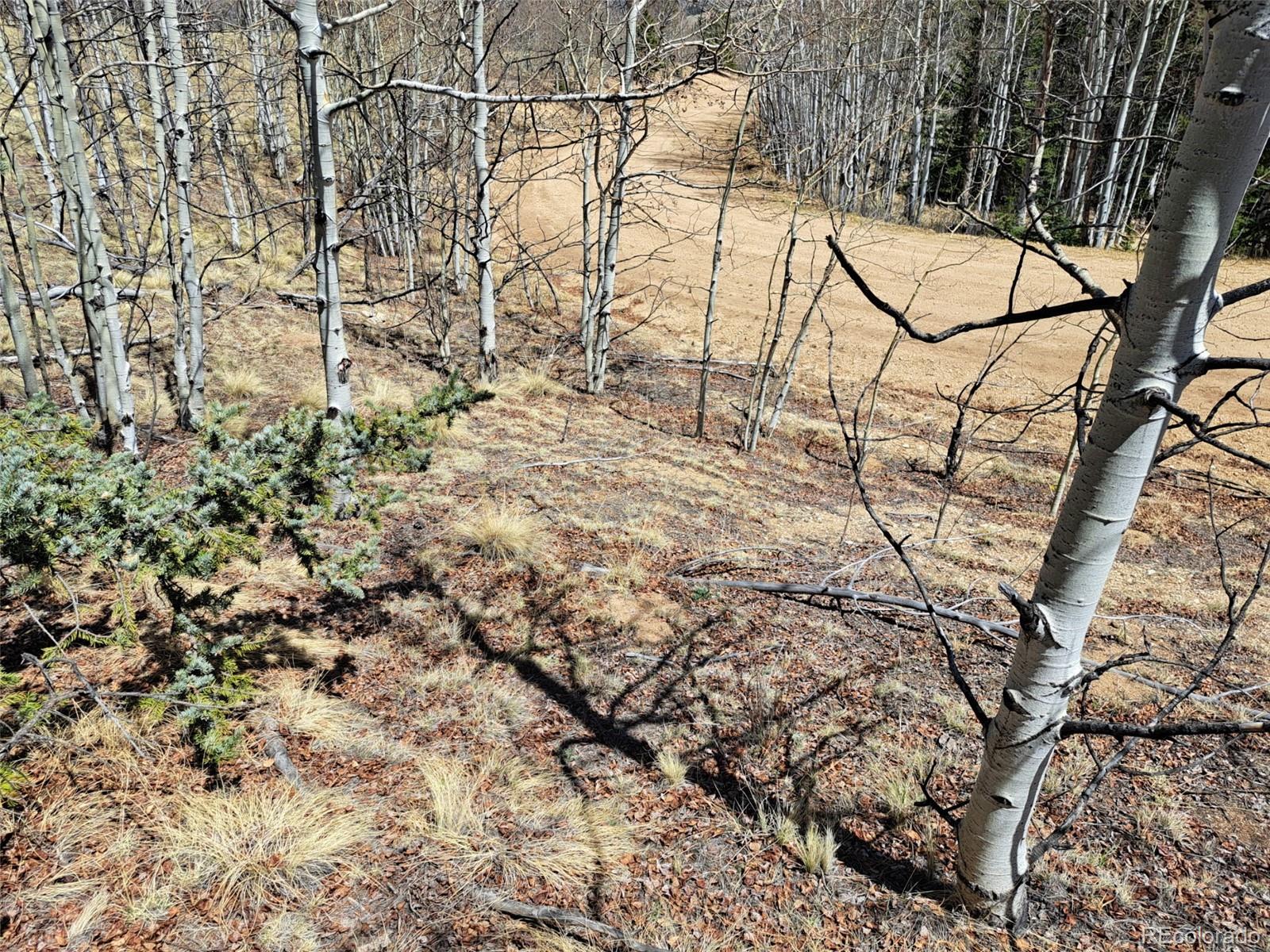 730 Tepee Trail Como, CO 80456 - Photo 20 of 29