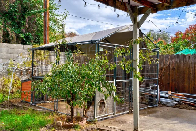 a view of a backyard