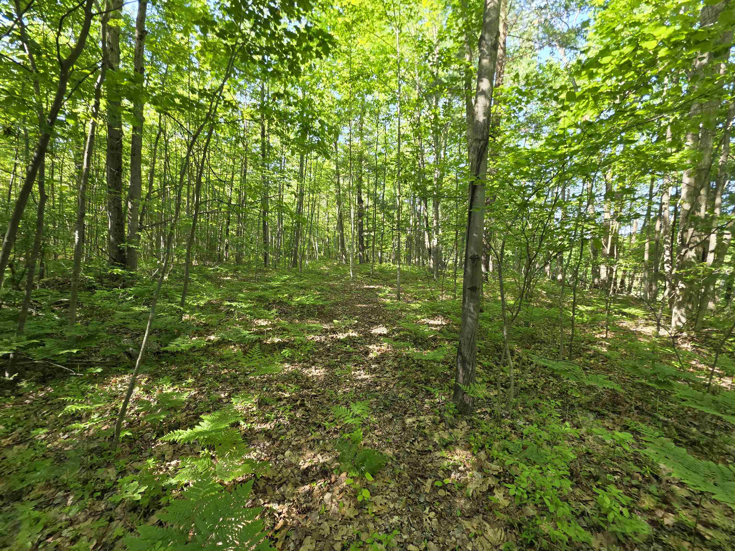 Tbd North Lakeshore Road Gladwin, MI 48624 - Photo 10 of 33