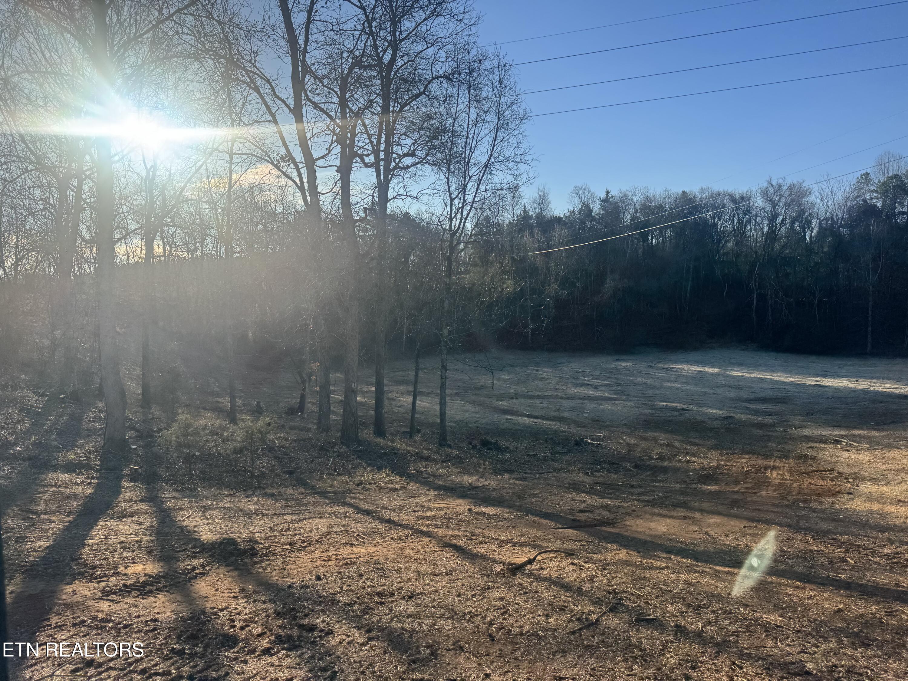 2490 Whittle Road New Market, TN 37820 - Photo 13 of 41 IMG_9932