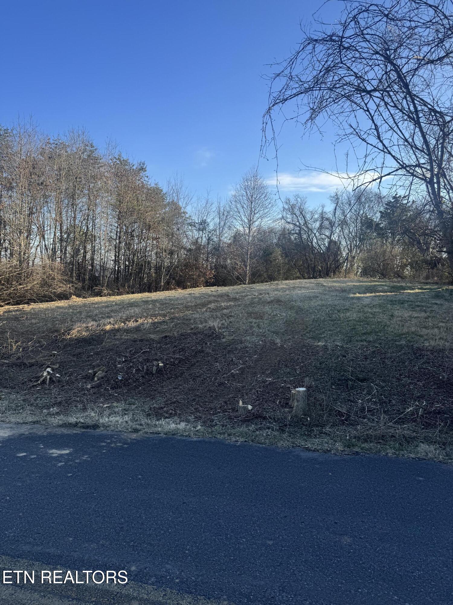 2490 Whittle Road New Market, TN 37820 - Photo 2 of 41 IMG_9921