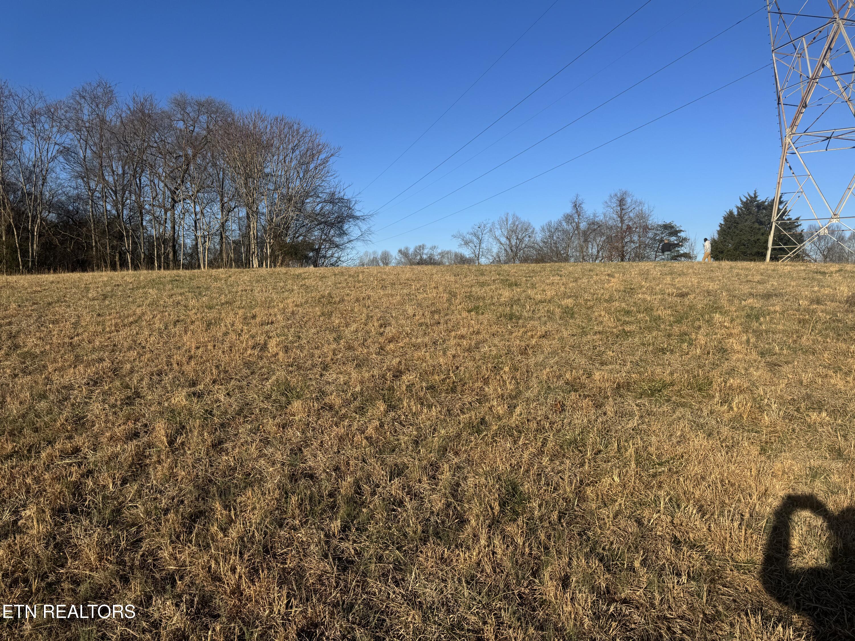 2490 Whittle Road New Market, TN 37820 - Photo 24 of 41 IMG_9945