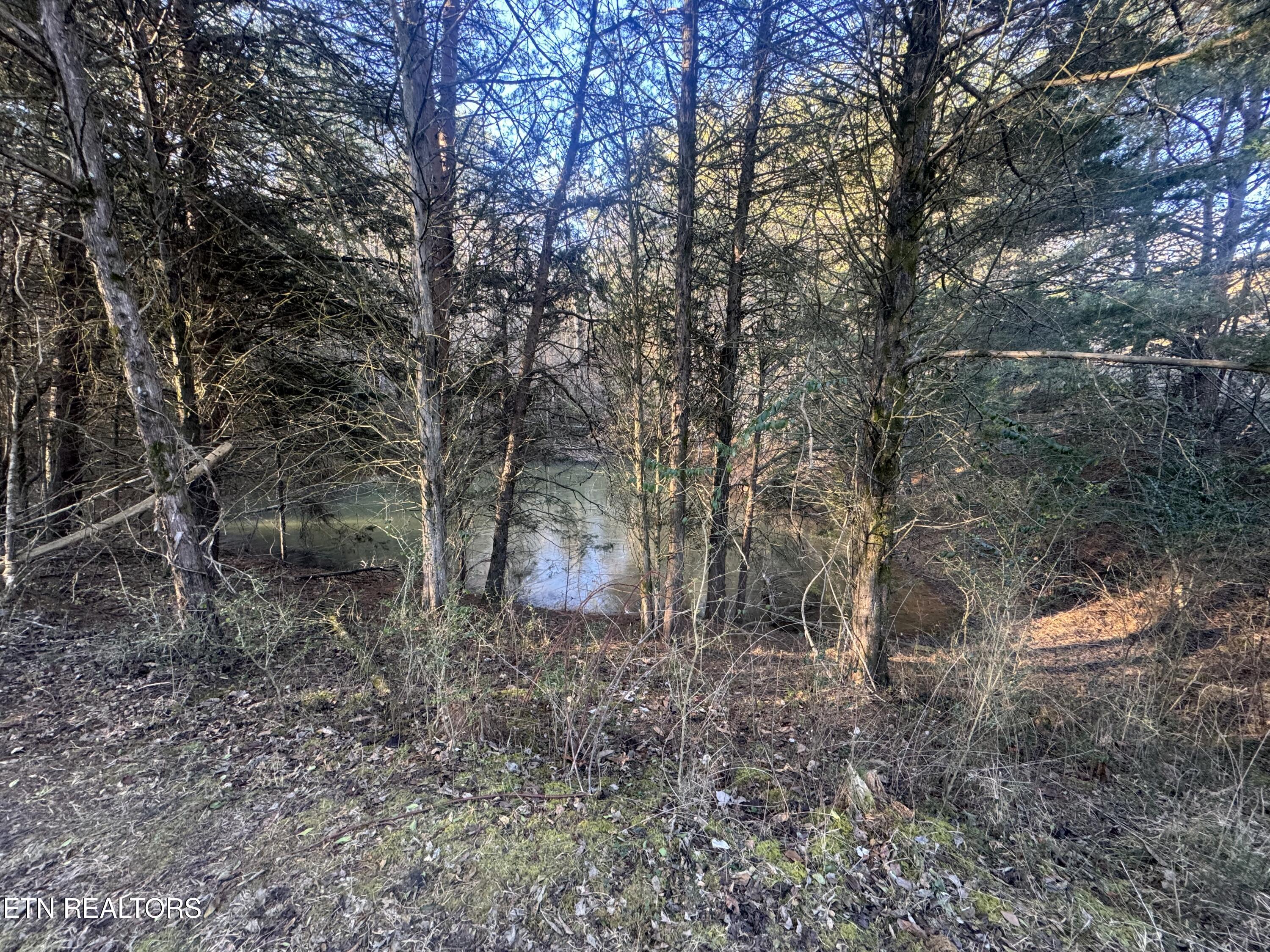 2490 Whittle Road New Market, TN 37820 - Photo 29 of 41 IMG_9950