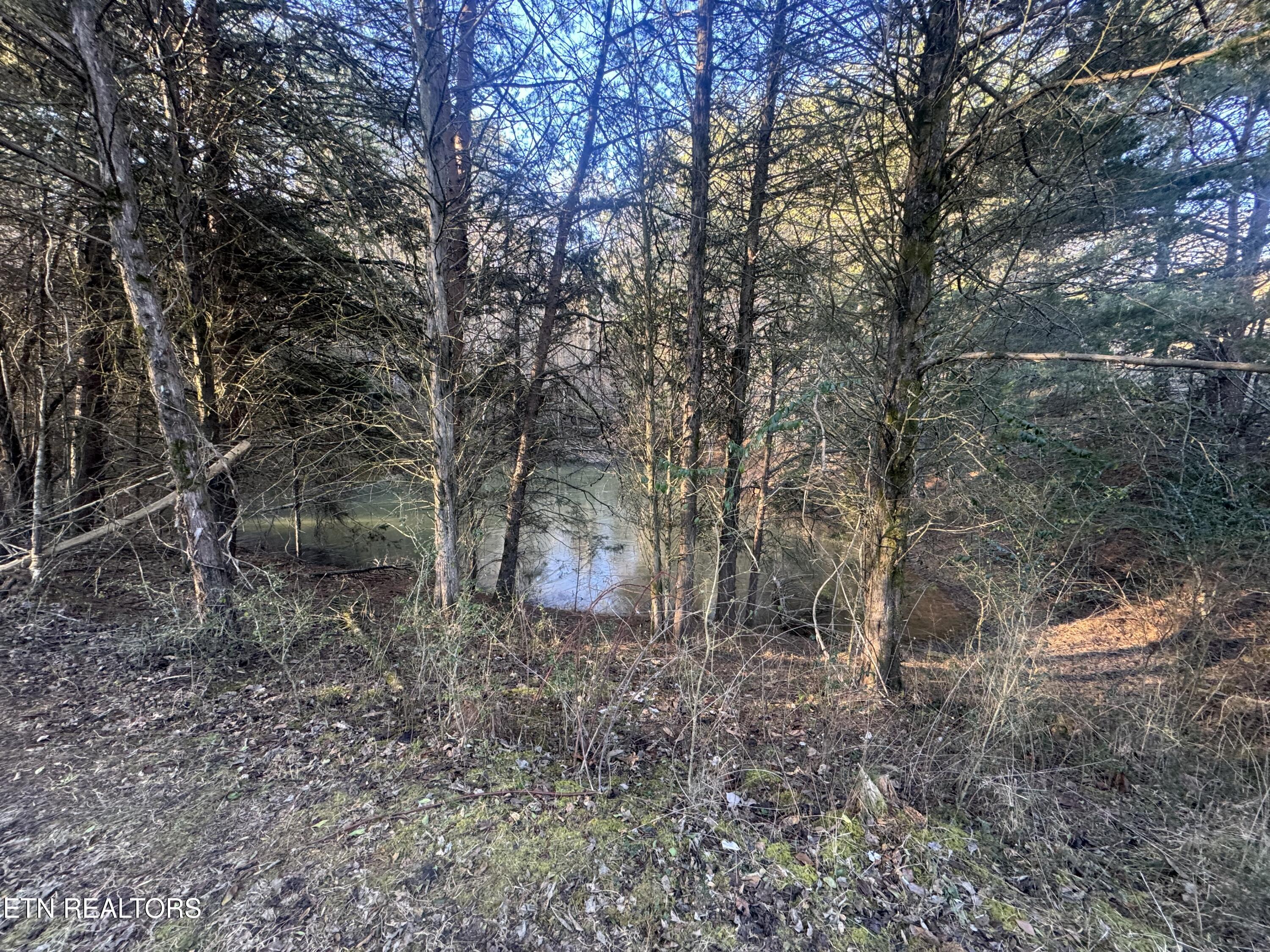 2490 Whittle Road New Market, TN 37820 - Photo 30 of 41 IMG_9951