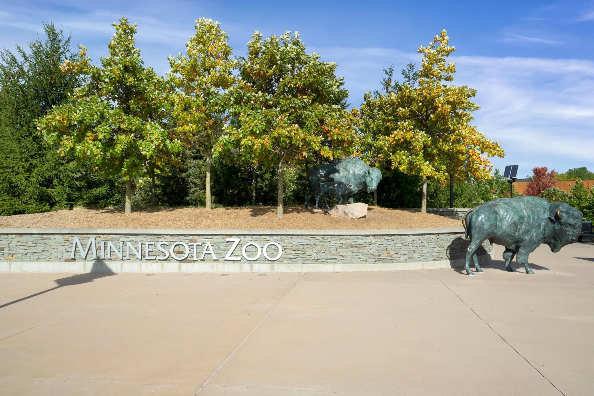 14830 Artaine Trail Rosemount, MN 55068 - Photo 45 of 46