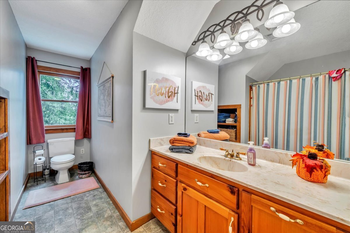 568 Hopewell Church Road Rhine, GA 31077 - Photo 28 of 77 a bathroom with a sink a toilet and a mirror
