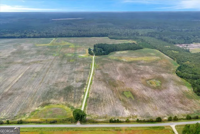 $599,000 | 568 Hopewell Church Road, Rhine, GA 31077