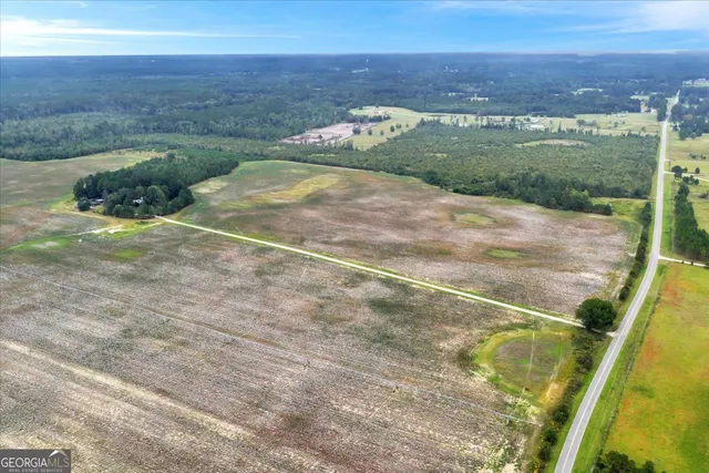 $599,000 | 568 Hopewell Church Road, Rhine, GA 31077