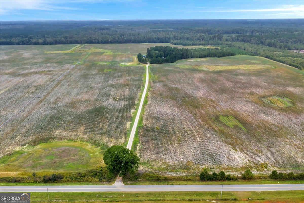 568 Hopewell Church Road Rhine, GA 31077 - Photo 60 of 77