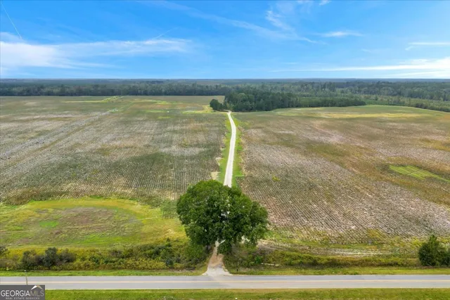 $599,000 | 568 Hopewell Church Road, Rhine, GA 31077