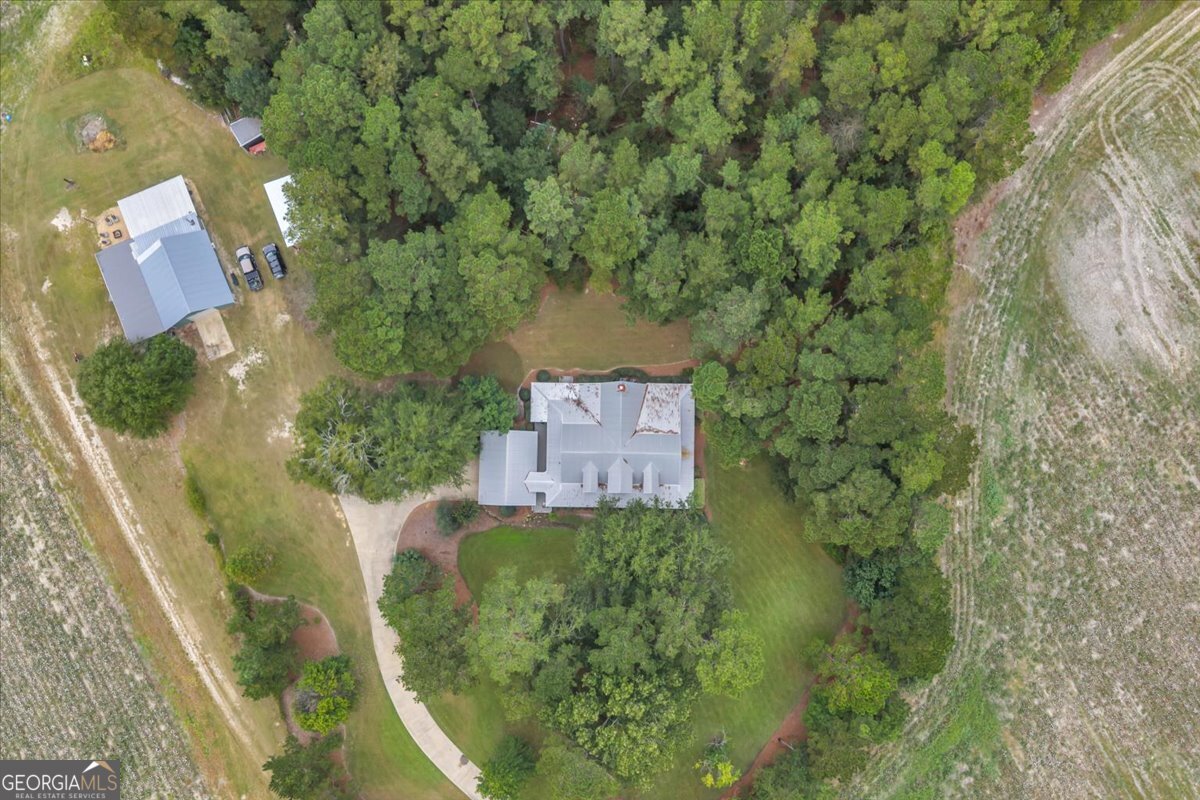 568 Hopewell Church Road Rhine, GA 31077 - Photo 62 of 77 an aerial view of a house with a yard