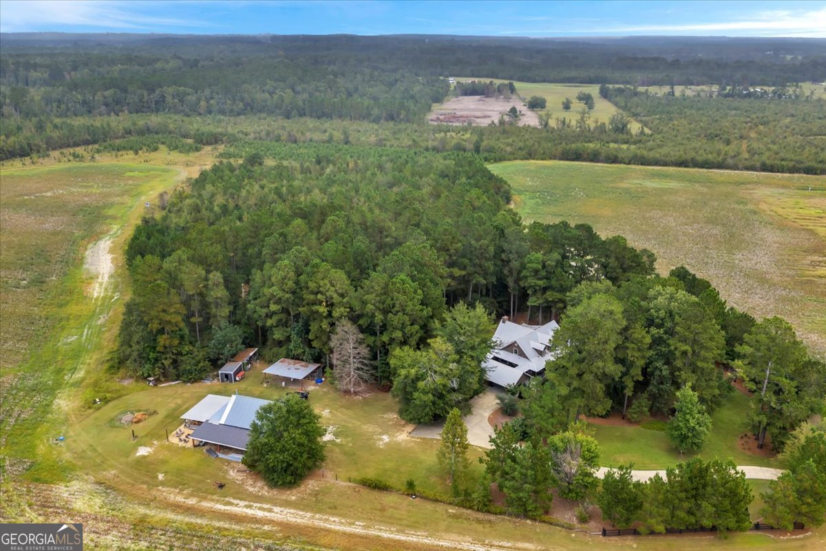 568 Hopewell Church Road Rhine, GA 31077 - Photo 63 of 77 a view of a lake with a yard and mountain view