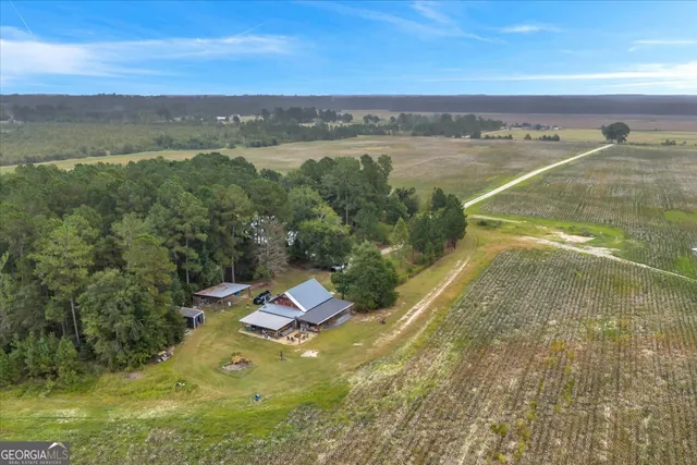 $599,000 | 568 Hopewell Church Road, Rhine, GA 31077