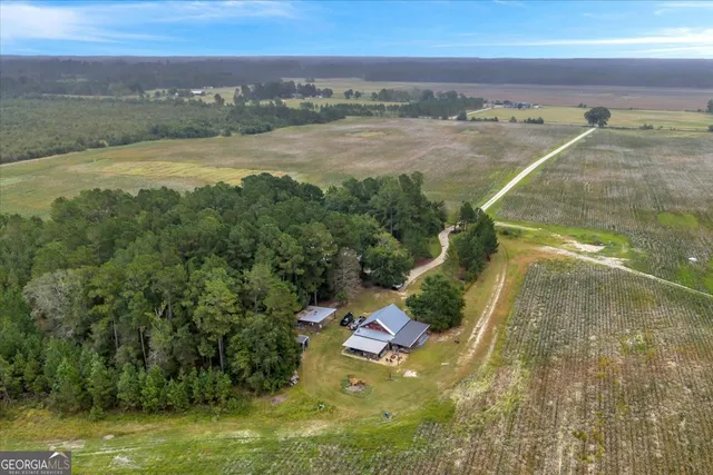 $599,000 | 568 Hopewell Church Road, Rhine, GA 31077