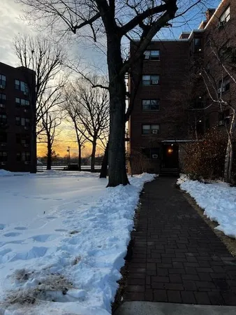 a view of backyard with green space