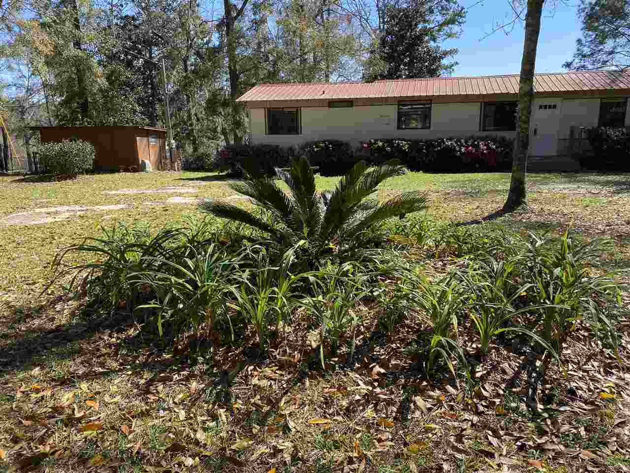 429 Cable Road Havana, FL 32333 - Photo 4 of 15 Gallery Image 4