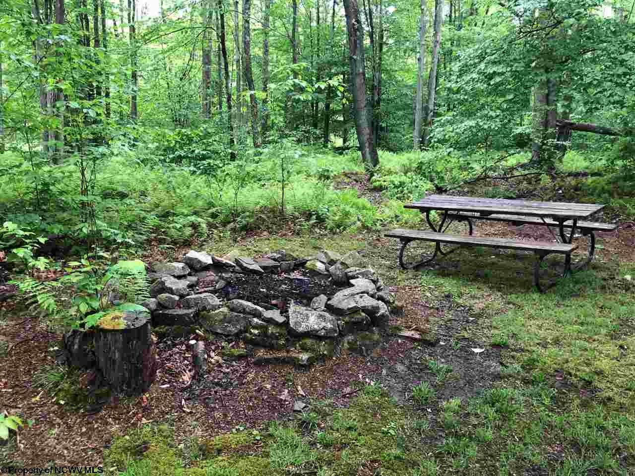 381 Bobcat Road Davis, WV 26260 - Photo 14 of 20 Gallery Image 14