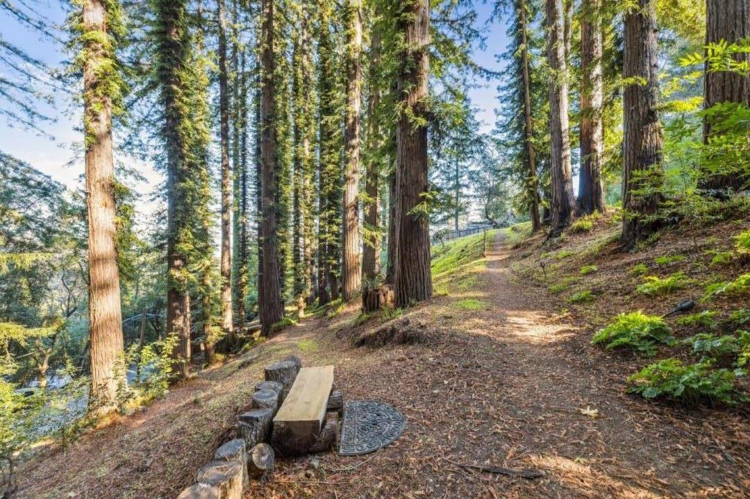 20080 Gist Road Los Gatos, CA 95033 - Photo 21 of 35 a view of a yard with plants and trees