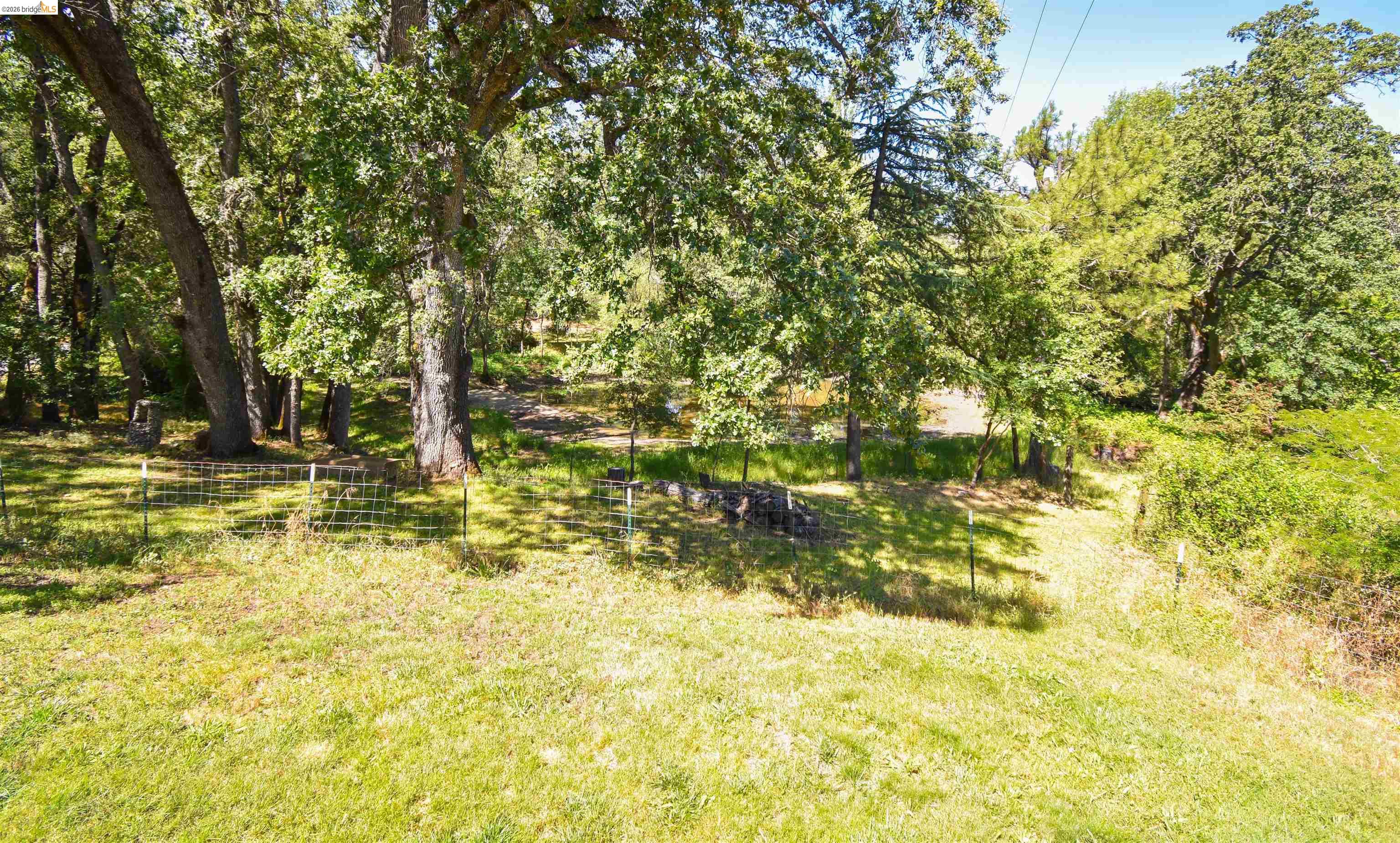 13904 Tuolumne Road Sonora, CA 95370 - Photo 33 of 44 Expansive outdoor space featuring mature trees and a sloped, grassy terrain