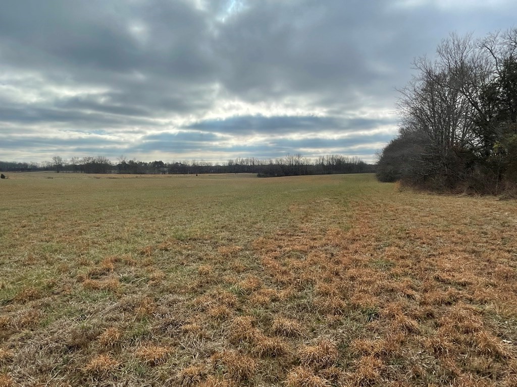 0 Sulphur Creek Road Big Sandy, TN 38221 - Photo 2 of 10 a view of an ocean