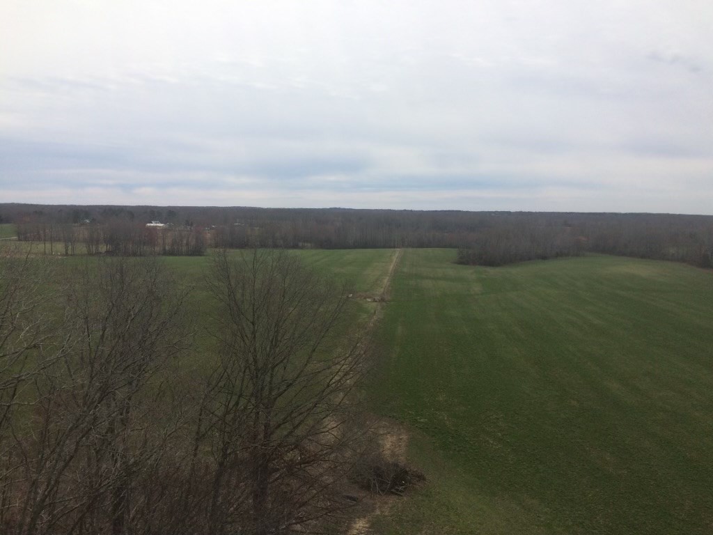 0 Sulphur Creek Road Big Sandy, TN 38221 - Photo 3 of 10 a view of lake with green space
