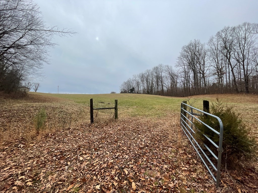 0 Sulphur Creek Road Big Sandy, TN 38221 - Photo 5 of 10 a view of a room with a bench