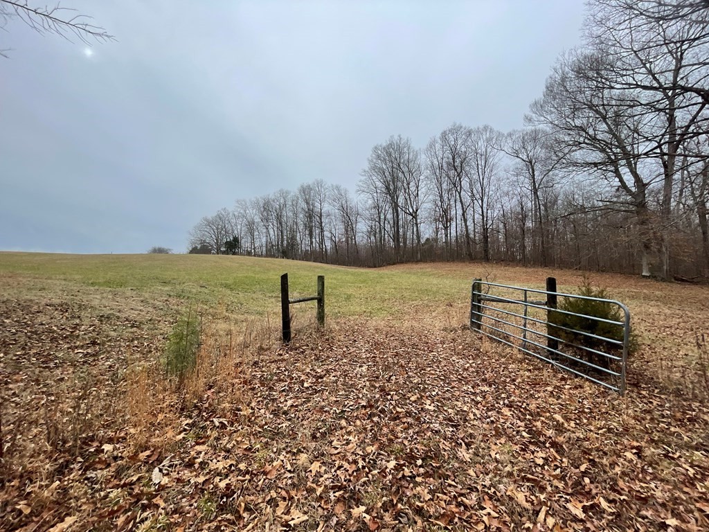 0 Sulphur Creek Road Big Sandy, TN 38221 - Photo 6 of 10 a view of a yard with wooden fence