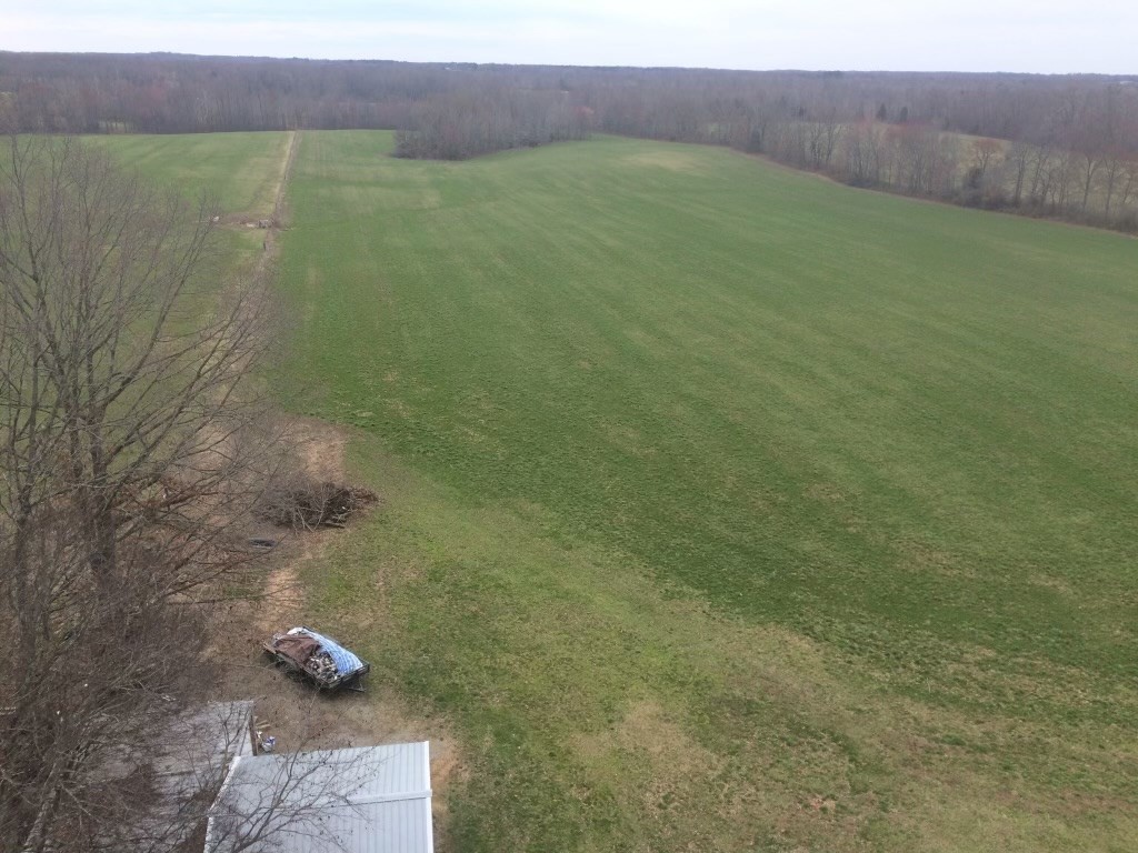 0 Sulphur Creek Road Big Sandy, TN 38221 - Photo 7 of 10 a view of a field with an outdoor space