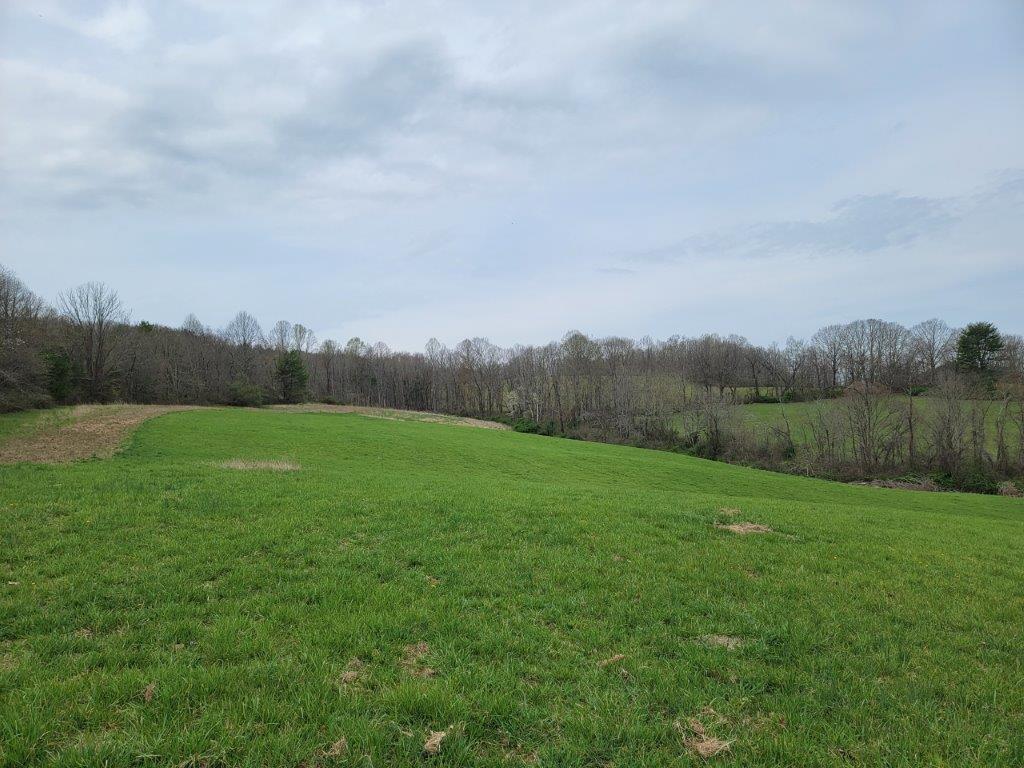 Tbd Hunters Ridge Road Hillsville, VA 24343 - Photo 22 of 64 Gallery Image 22