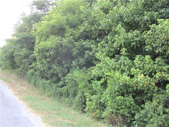 0 Risner Road Ethridge, TN 38456 - Photo 1 of 5 Road Frontage at 13 Wooded Acres on Dave Risner Road (Hunters Paradise)