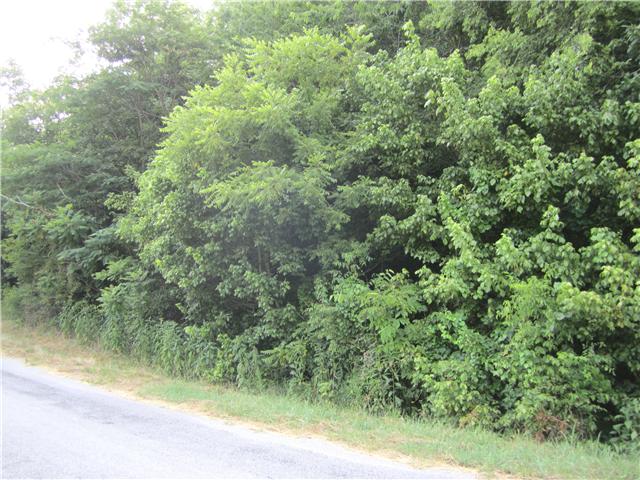0 Risner Road Ethridge, TN 38456 - Photo 2 of 5 Gallery Image 2