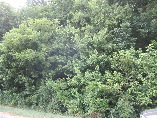 0 Risner Road Ethridge, TN 38456 - Photo 4 of 5 Gallery Image 4
