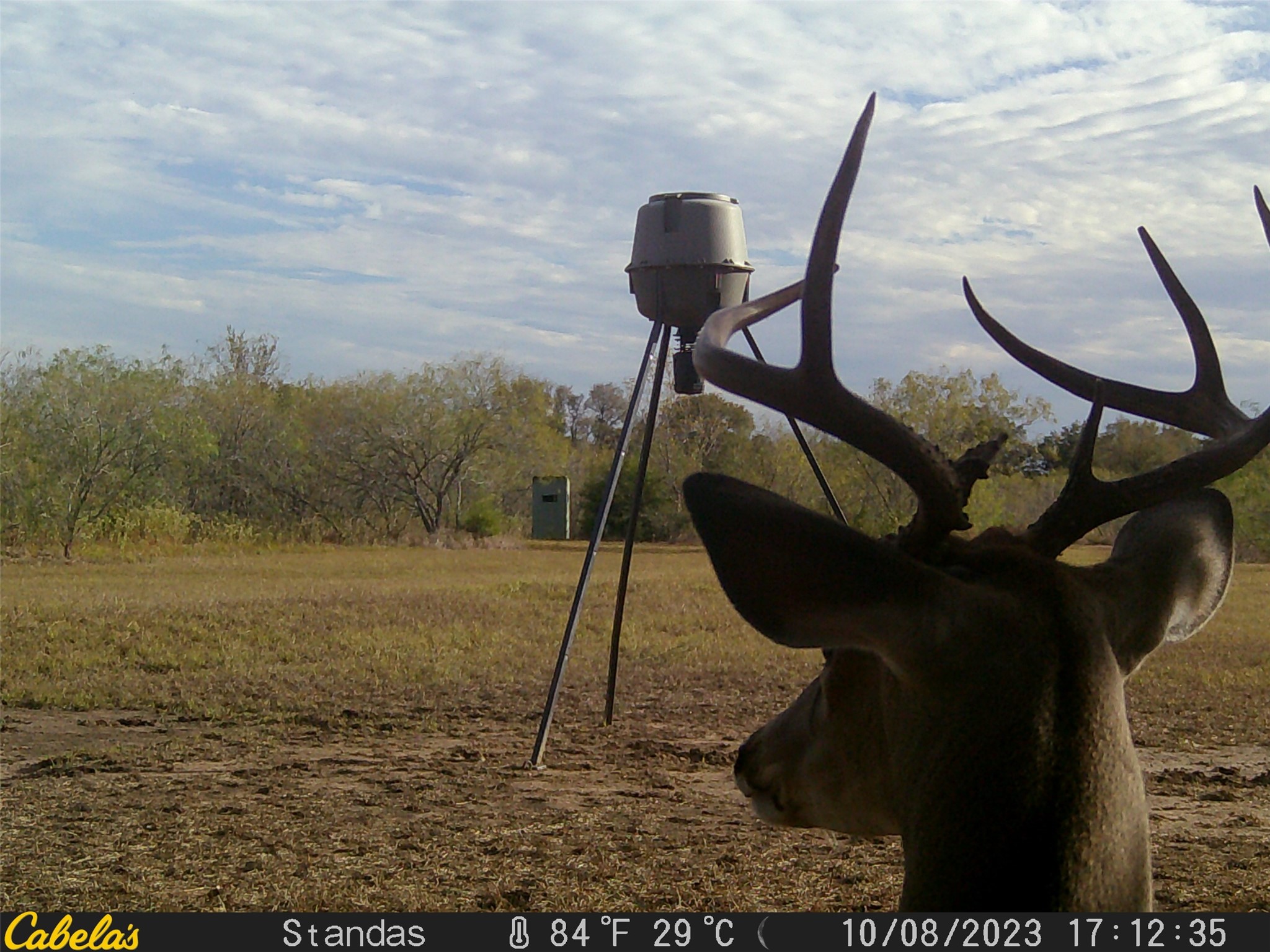 6289 Maynard Hallmark Road Flatonia, TX 78941 - Photo 15 of 19