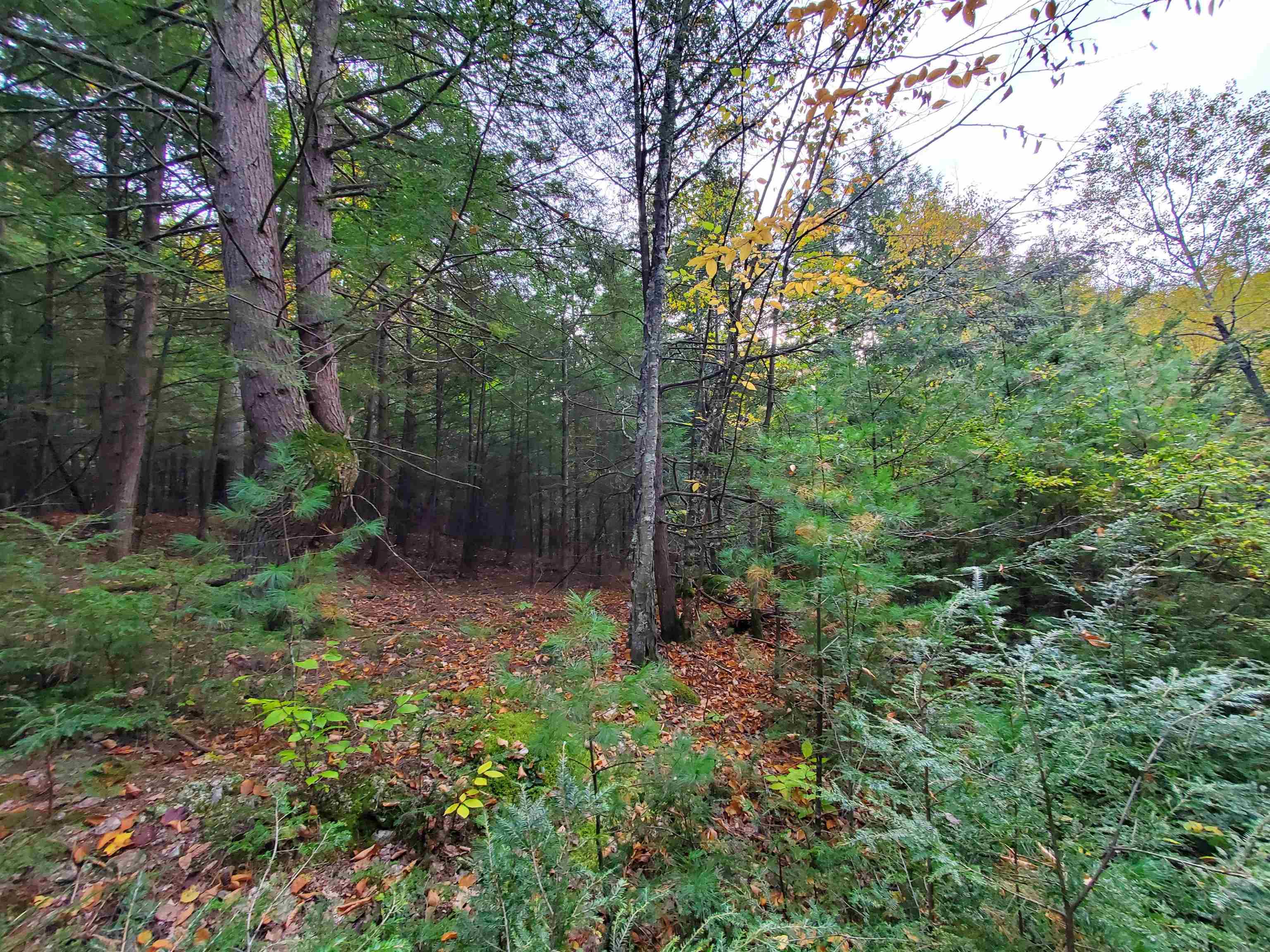 Chestnut Pond Road Epsom, NH 03234 - Photo 12 of 30