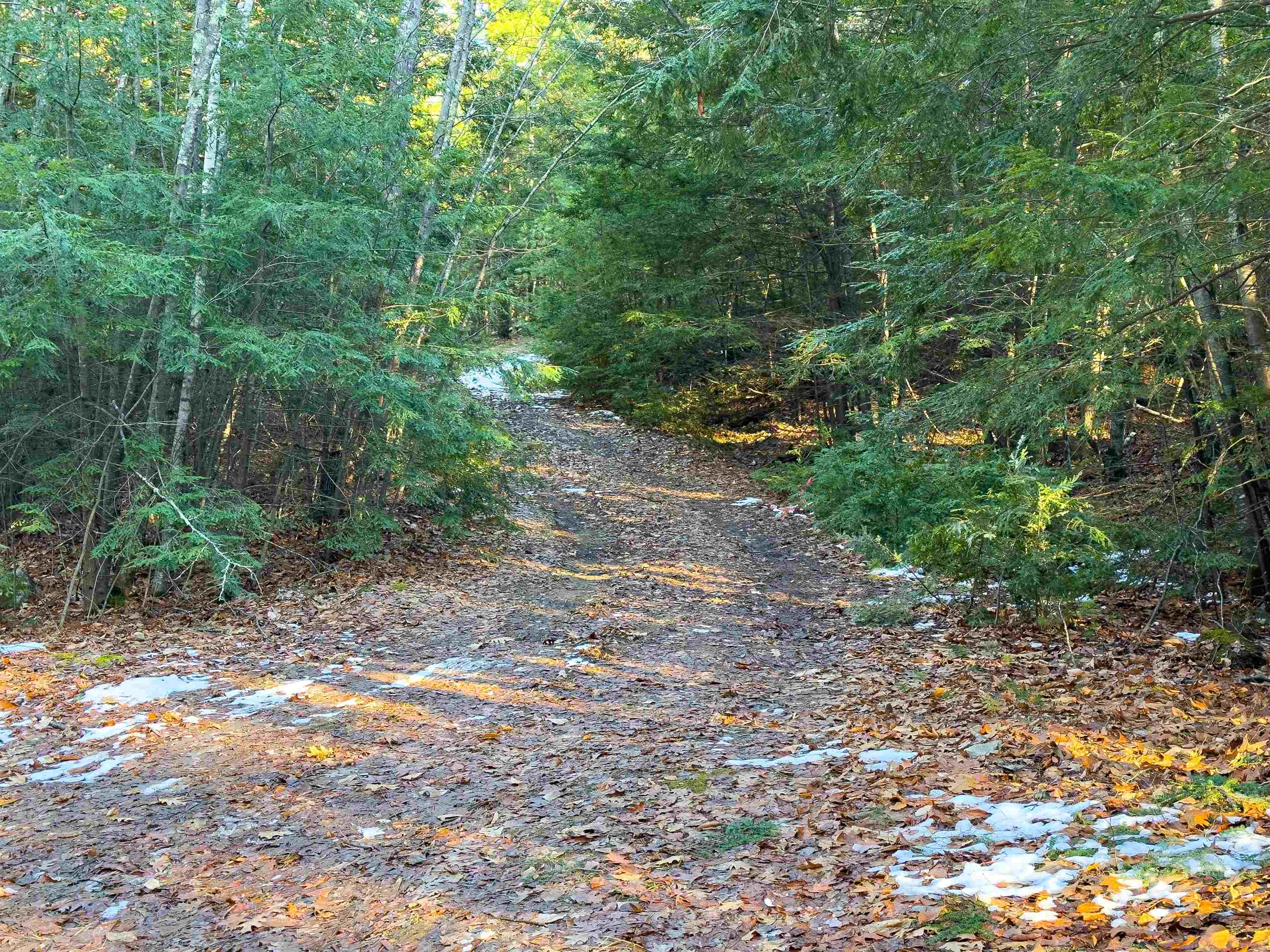 Chestnut Pond Road Epsom, NH 03234 - Photo 14 of 30