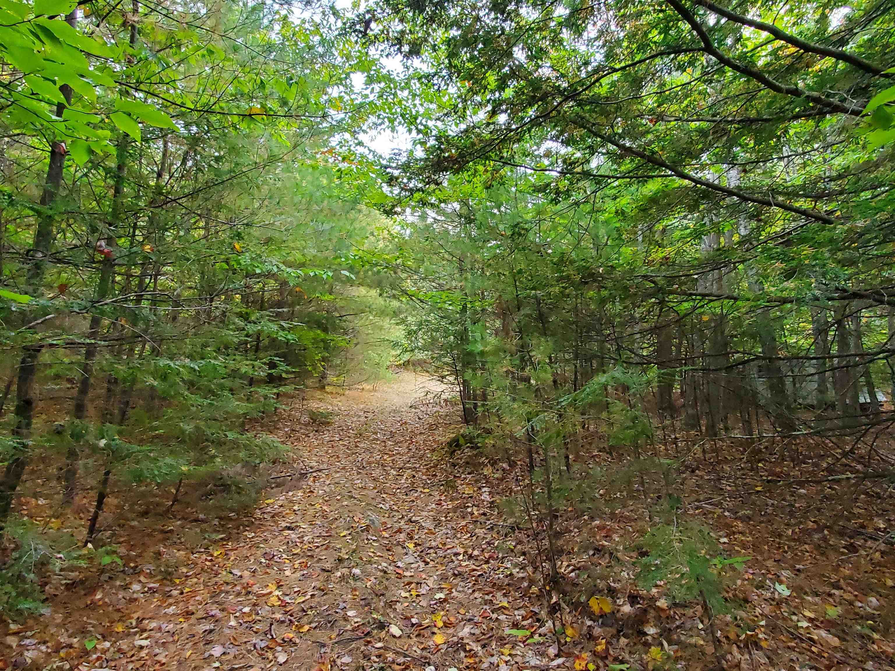 Chestnut Pond Road Epsom, NH 03234 - Photo 16 of 30