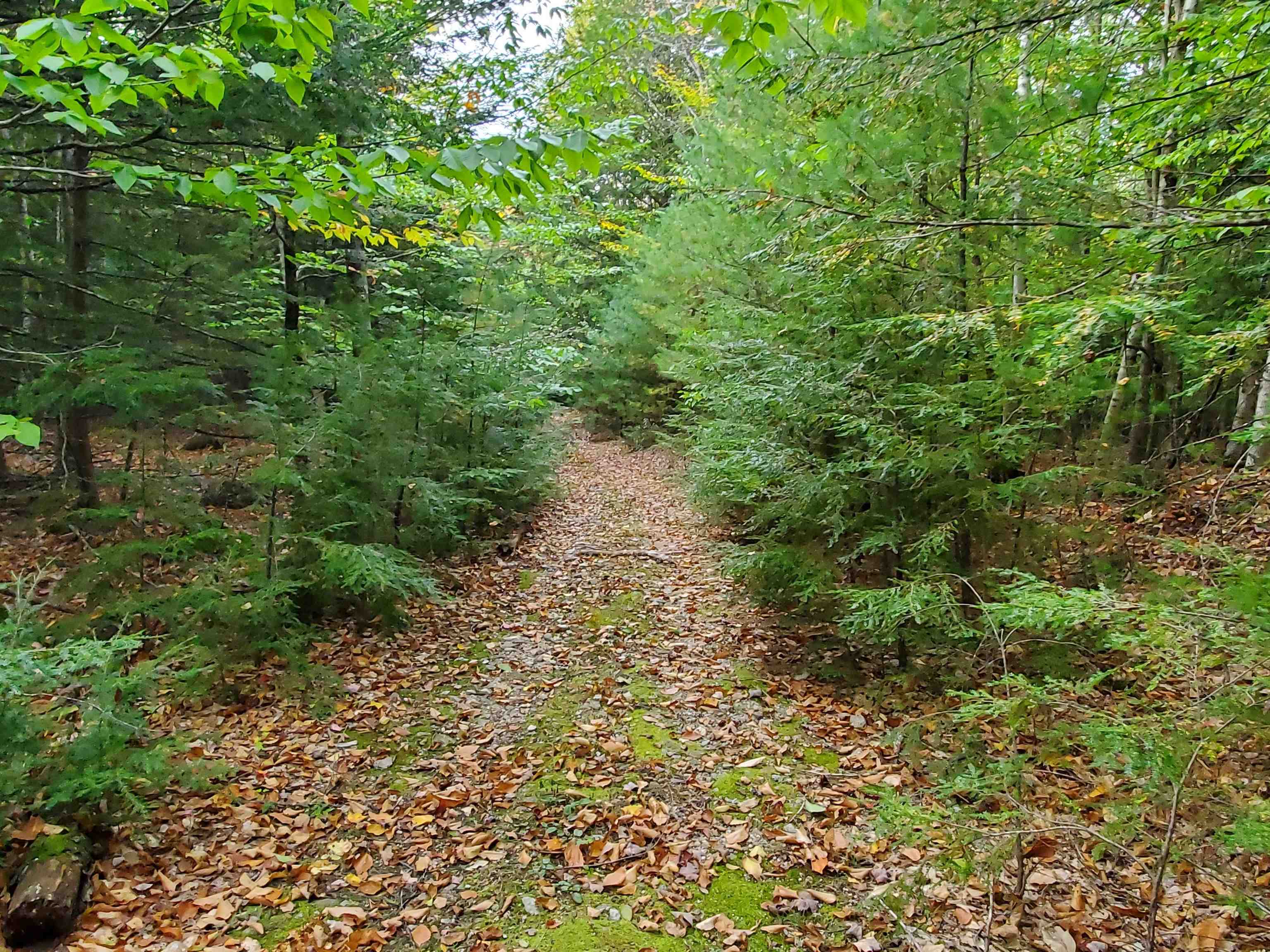 Chestnut Pond Road Epsom, NH 03234 - Photo 17 of 30