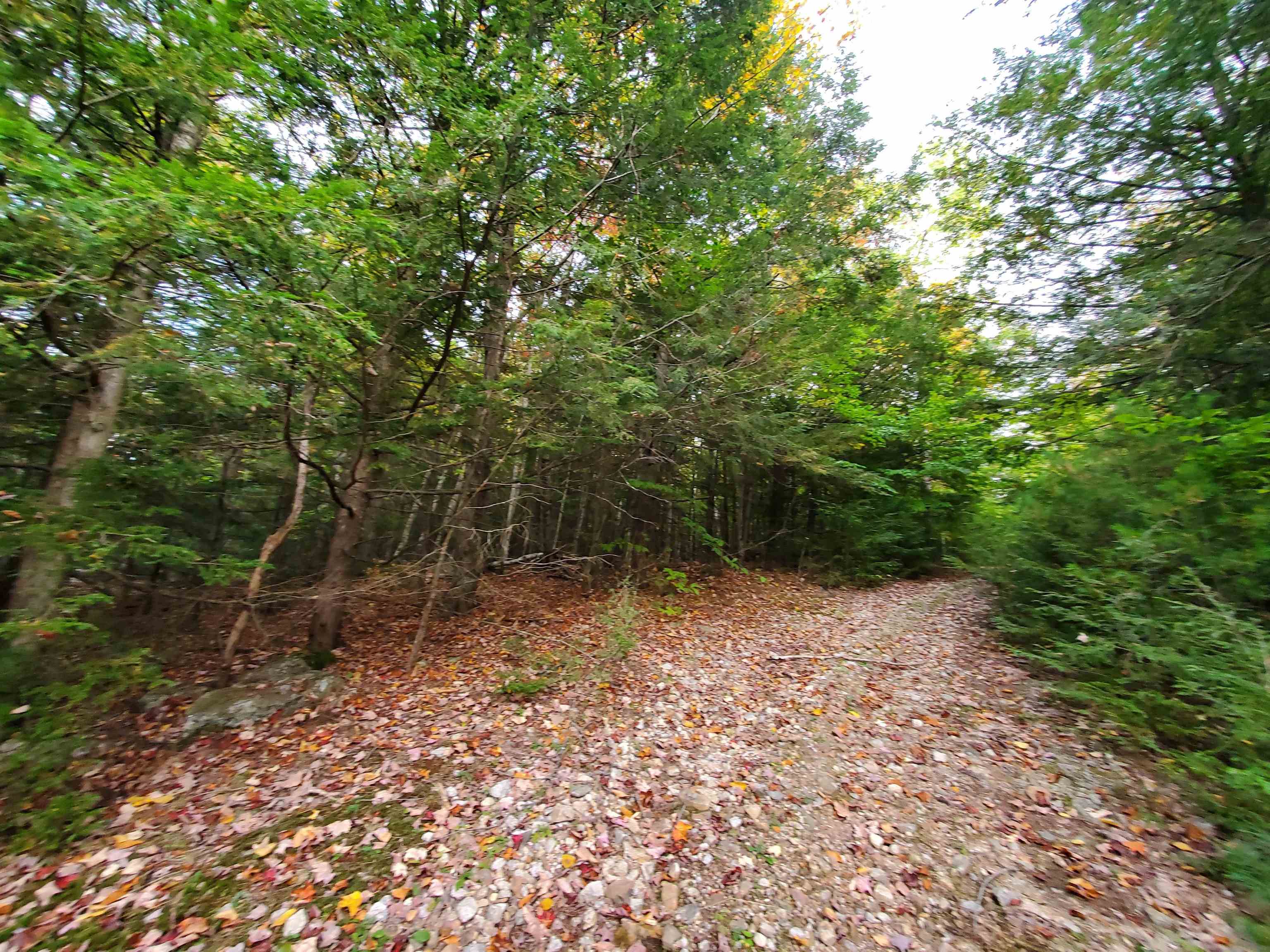 Chestnut Pond Road Epsom, NH 03234 - Photo 18 of 30