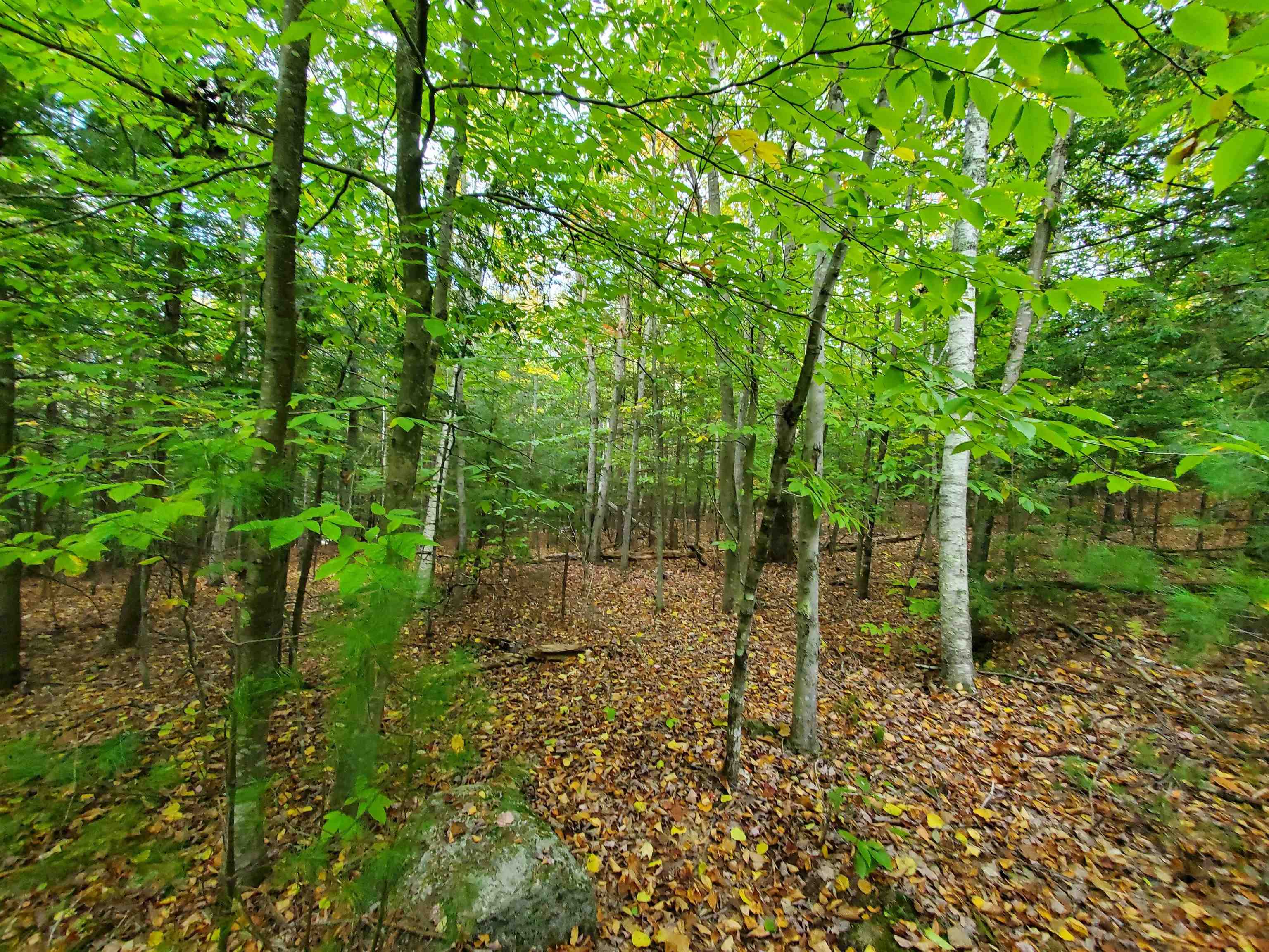 Chestnut Pond Road Epsom, NH 03234 - Photo 6 of 30
