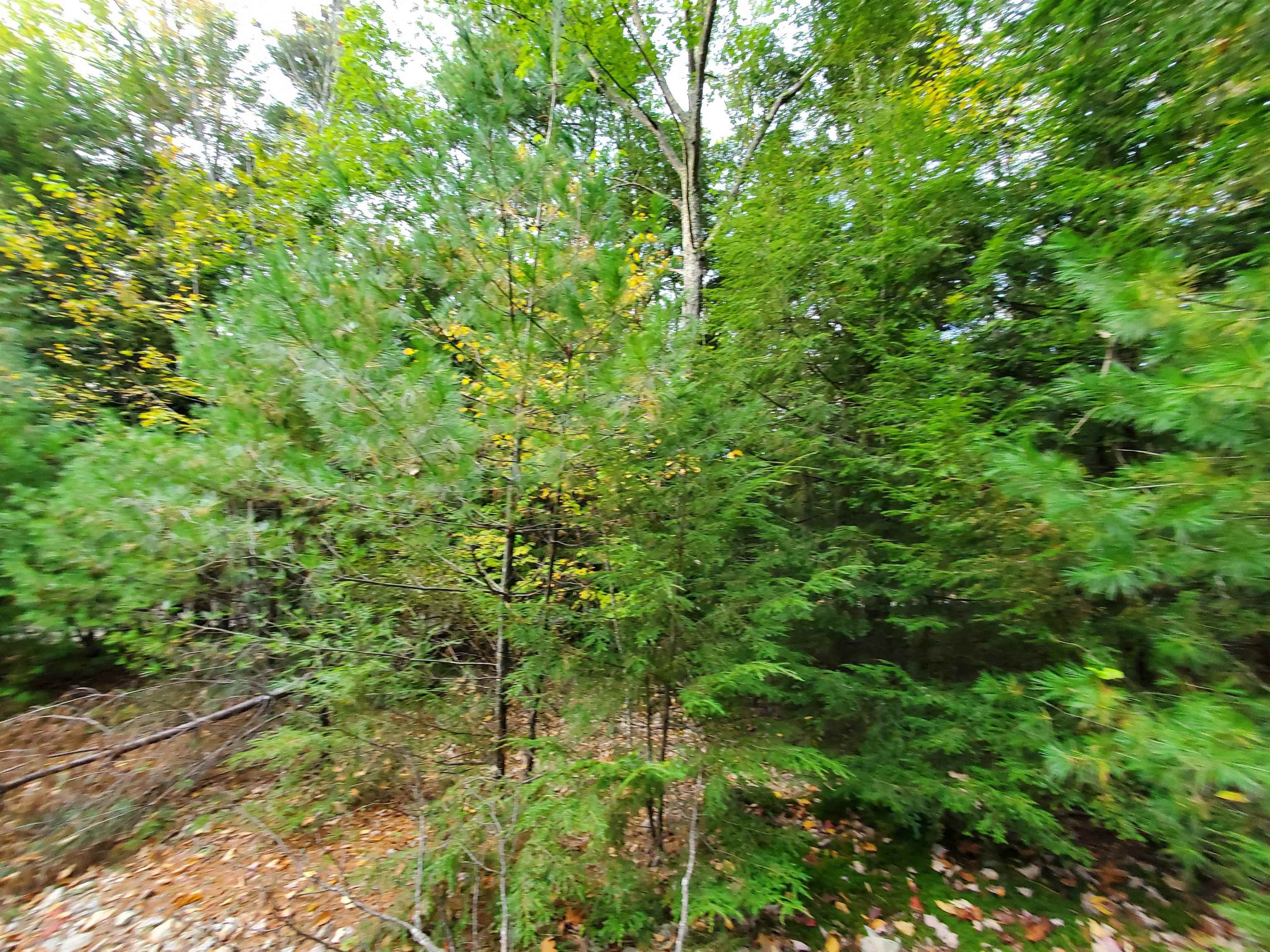 Chestnut Pond Road Epsom, NH 03234 - Photo 7 of 30