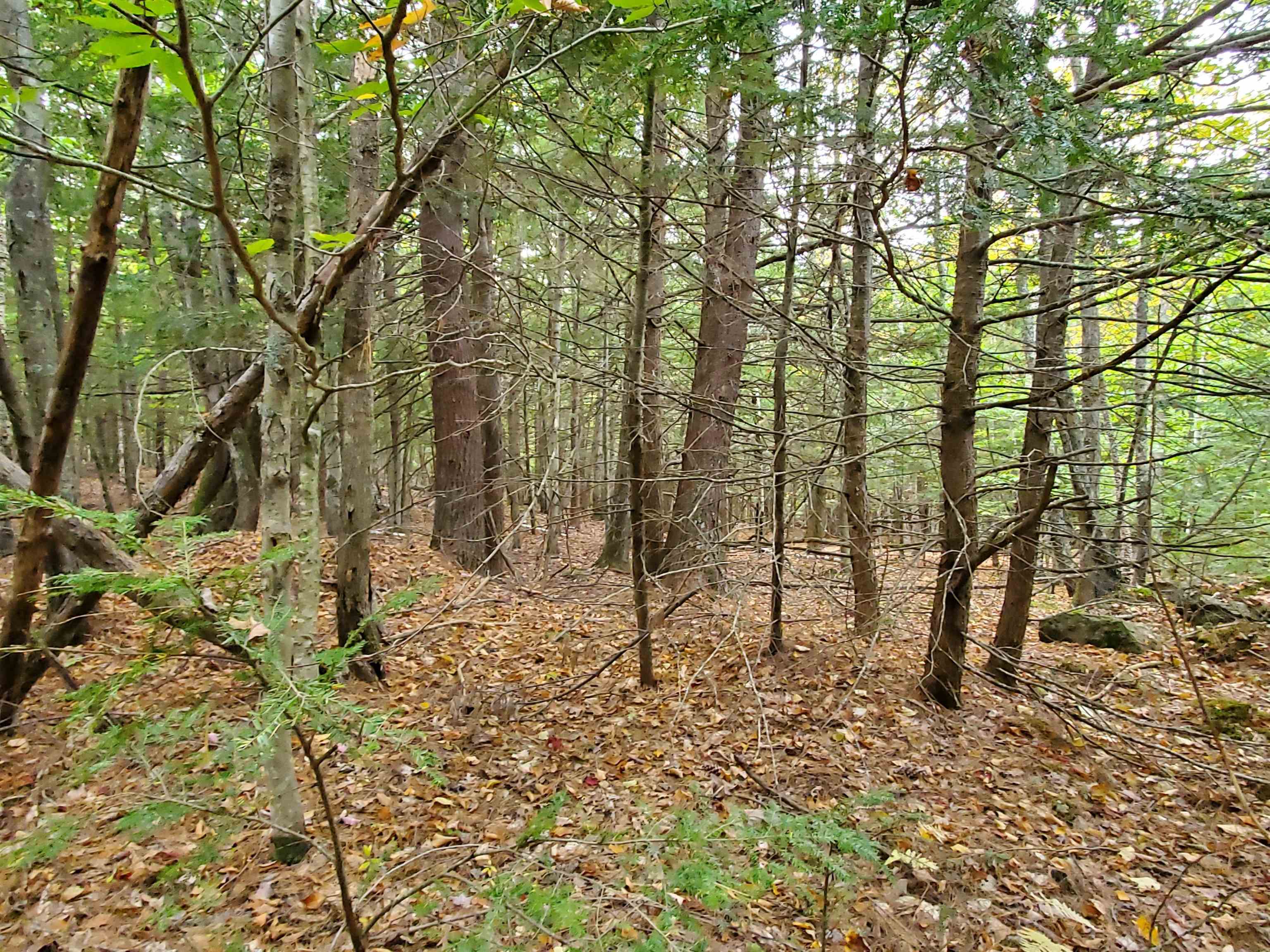 Chestnut Pond Road Epsom, NH 03234 - Photo 10 of 30