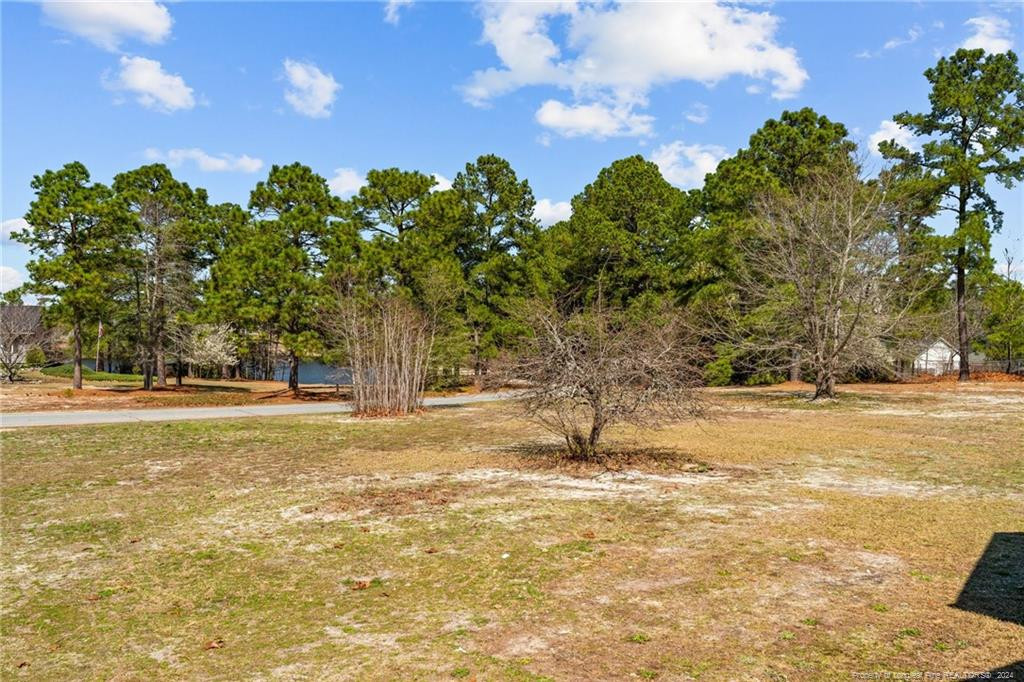 124 East Lake Ridge Road Raeford, NC 28376 - Photo 39 of 44 a view of a yard with trees