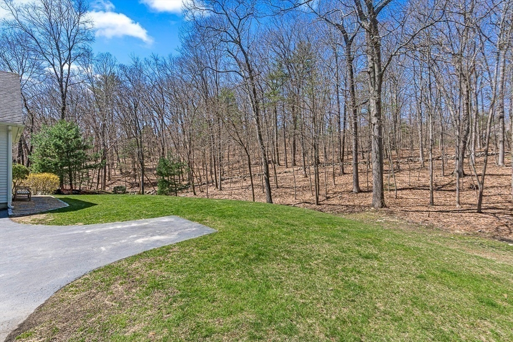 20 Algonquian Drive Natick, MA 01760 - Photo 39 of 40 a view of a back yard