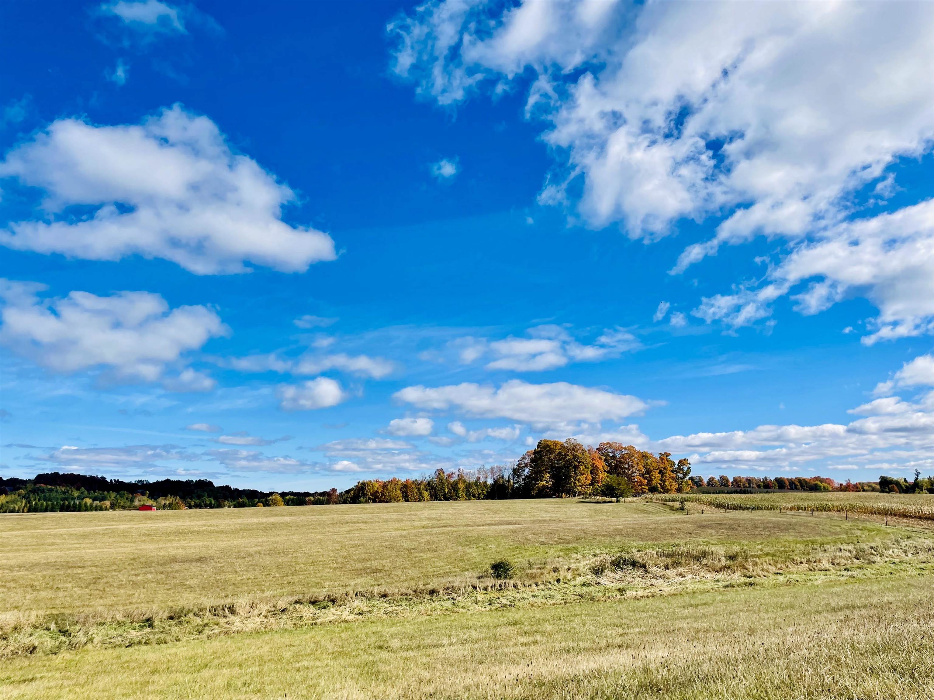 0 Zawora Road Kewadin, MI 49648 - Photo 5 of 12