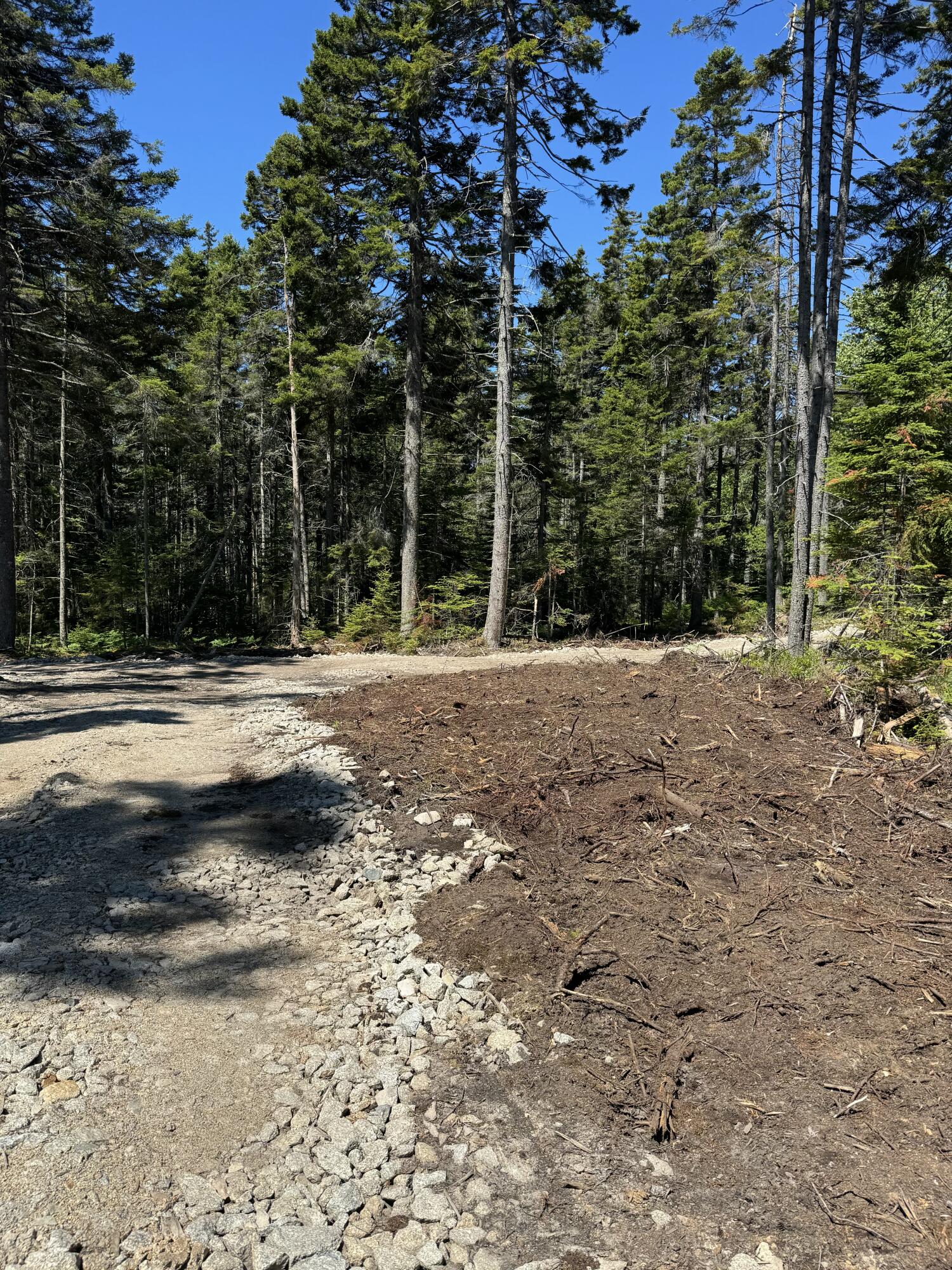 12 Jamestown Road Vinalhaven, ME 04863 - Photo 3 of 17