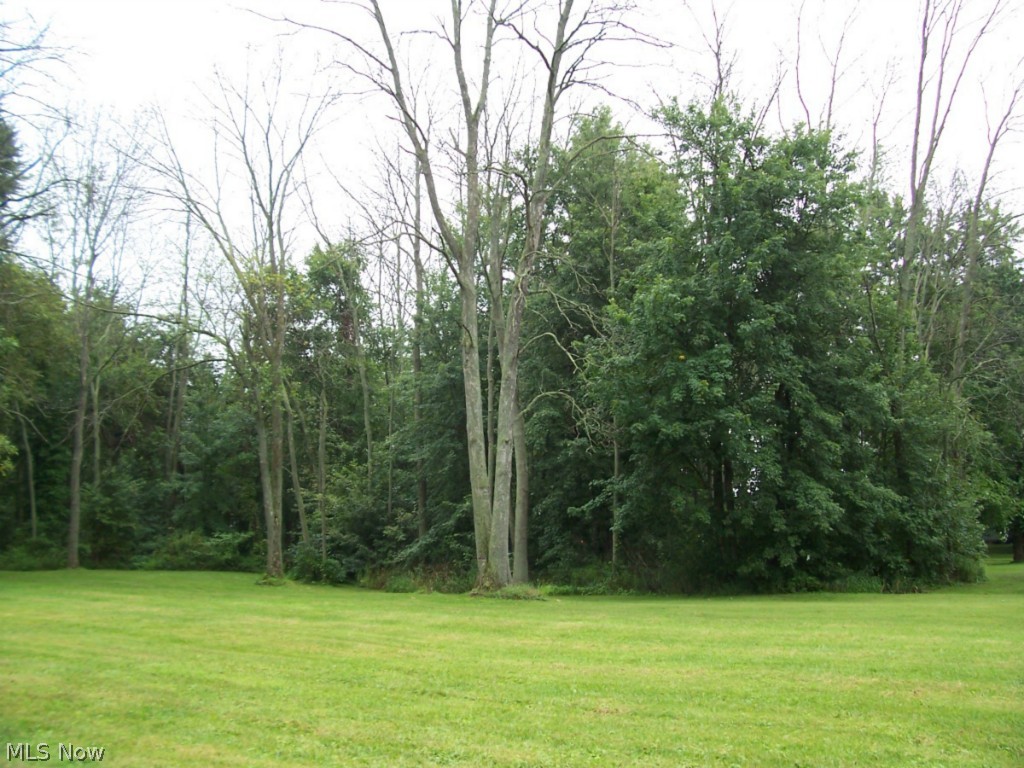 13222 Frick Road Sterling, OH 44276 - Photo 4 of 13 Gallery Image 4