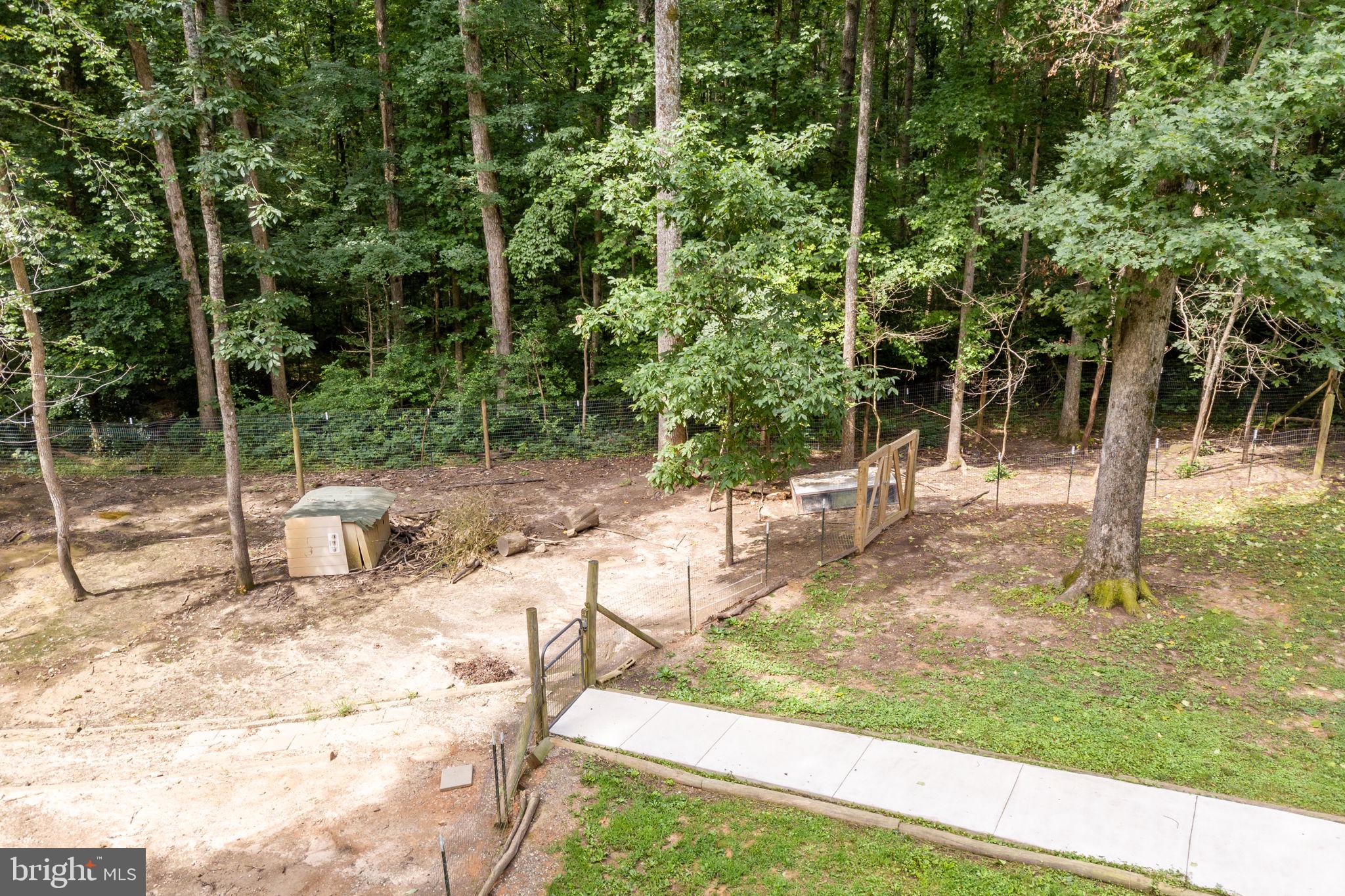 2491 Fairground Road Maidens, VA 23102 - Photo 46 of 52 a view of a yard with plants