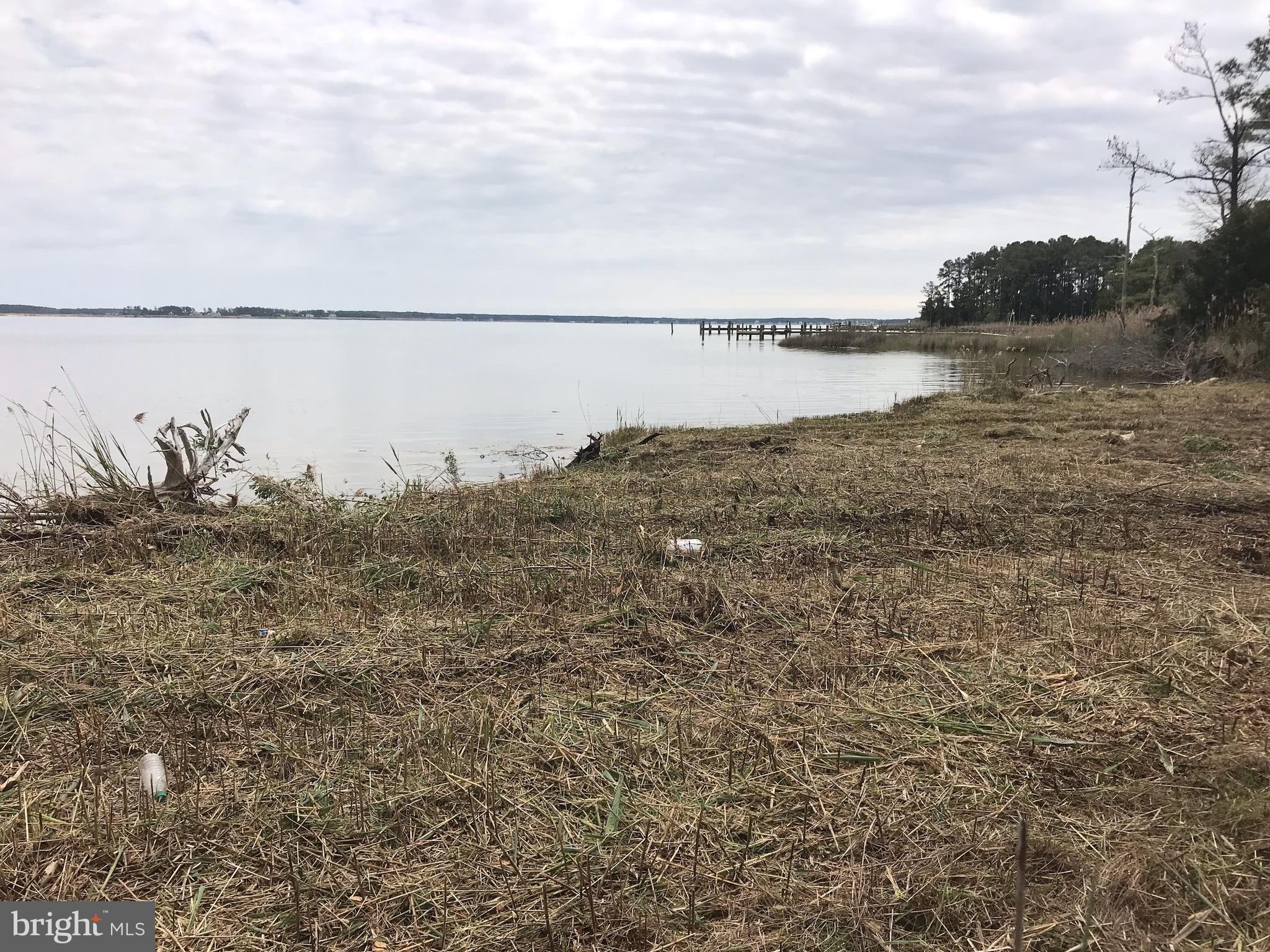 Cassons Neck Road Cambridge, MD 21613 - Photo 2 of 5 Gallery Image 2