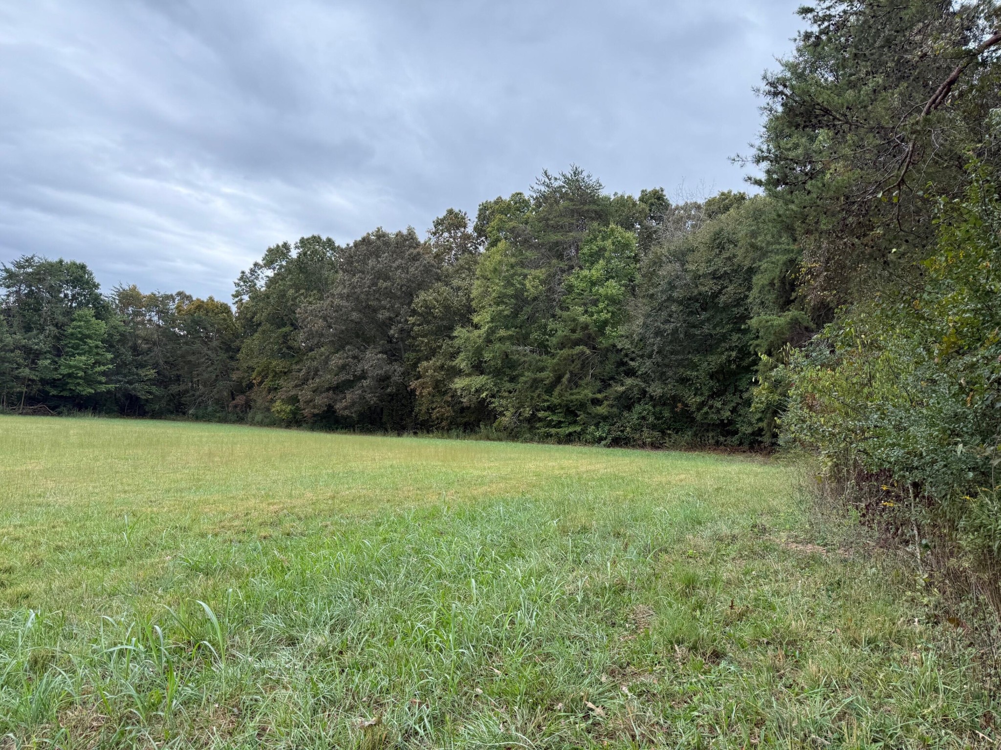 2 Fagin Road Madisonville, TN 37354 - Photo 2 of 15 Gallery Image 2