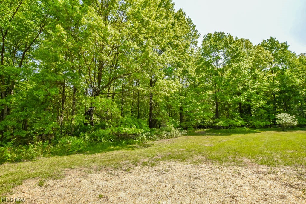 10081 Navarre Road Southwest Navarre, OH 44662 - Photo 27 of 34 Backyard